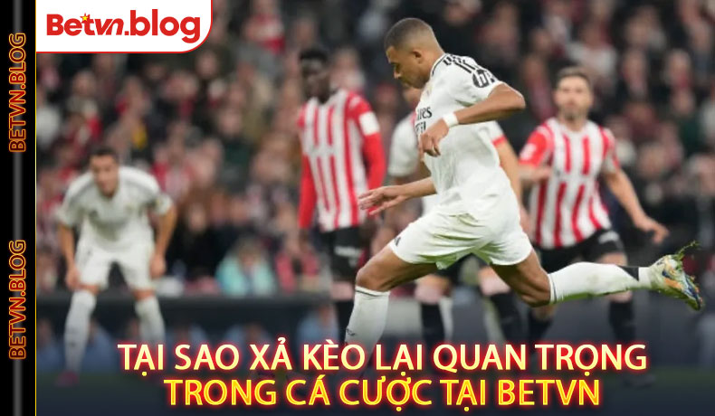 Tại Sao Xả Kèo Lại Quan Trọng Trong Cá Cược Tại Betvn